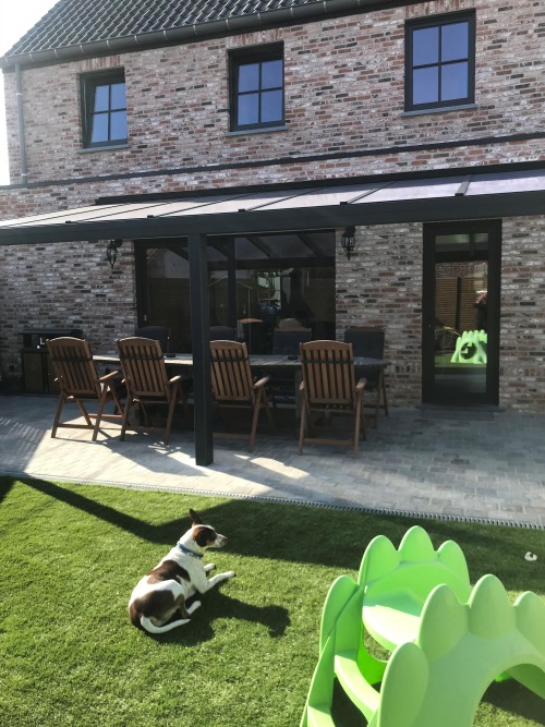 carport pergola
